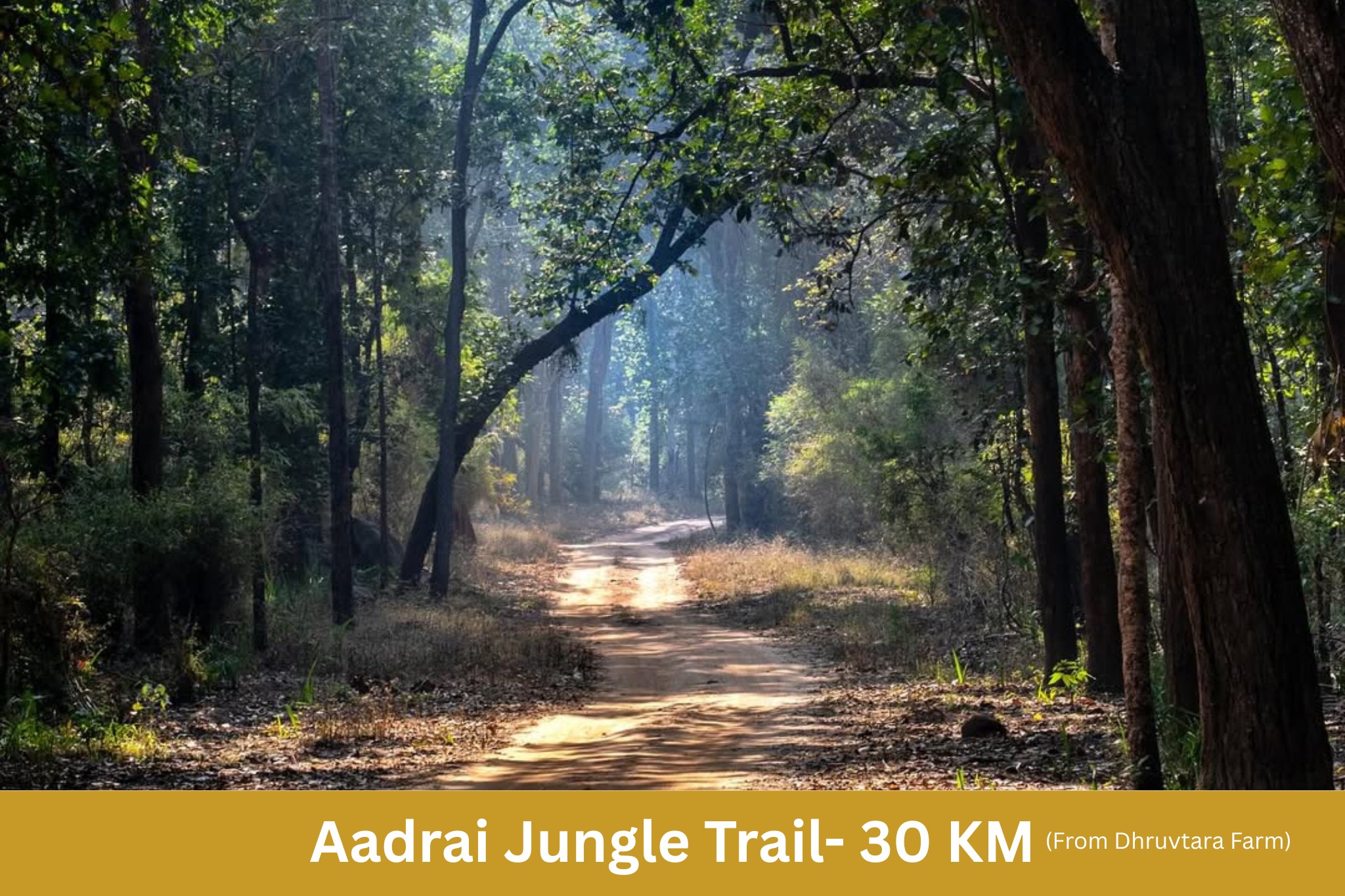 farm stay near junnar pune mumbai