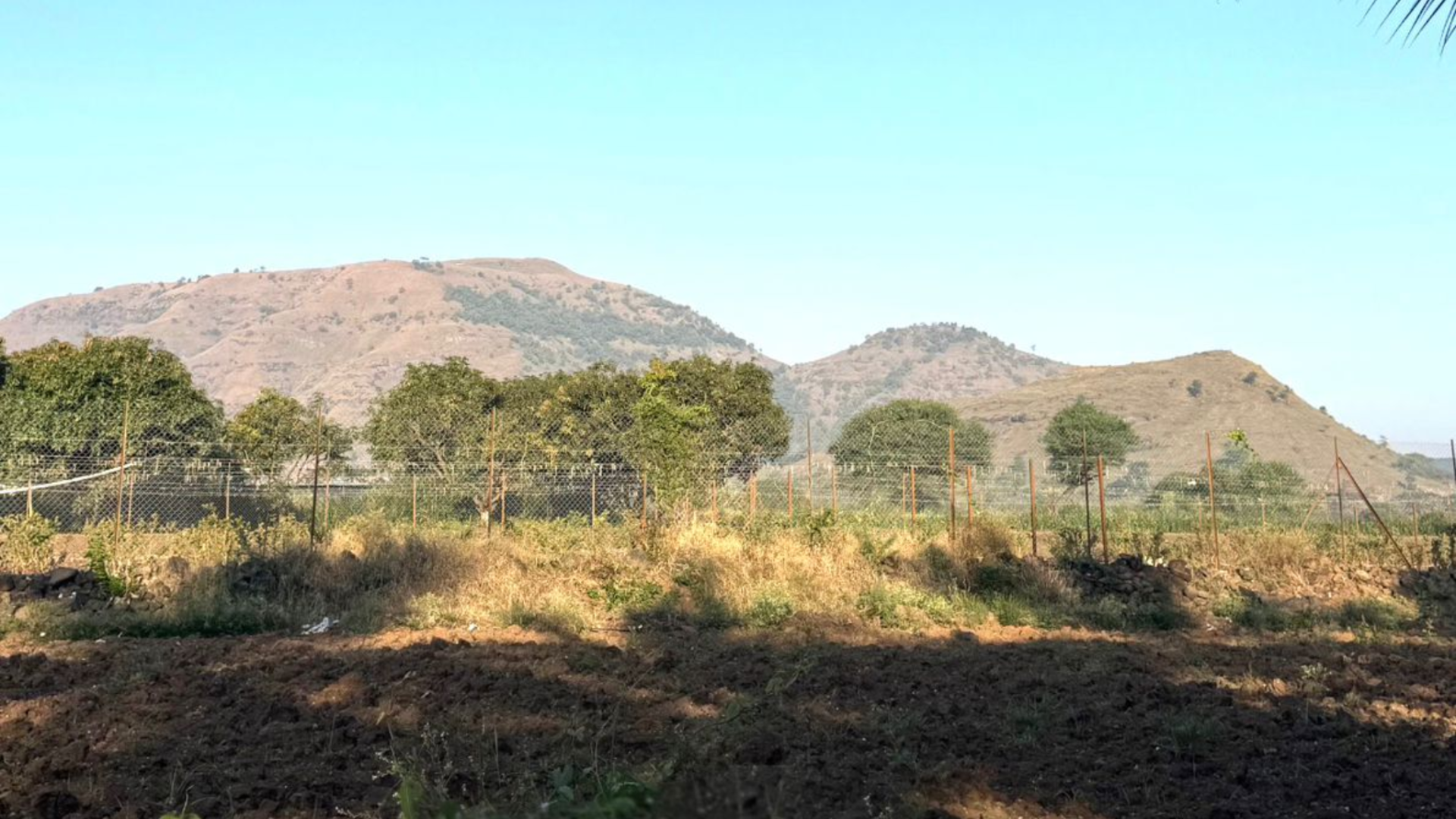 Dhruvtara-farm-junnar 10 (2)