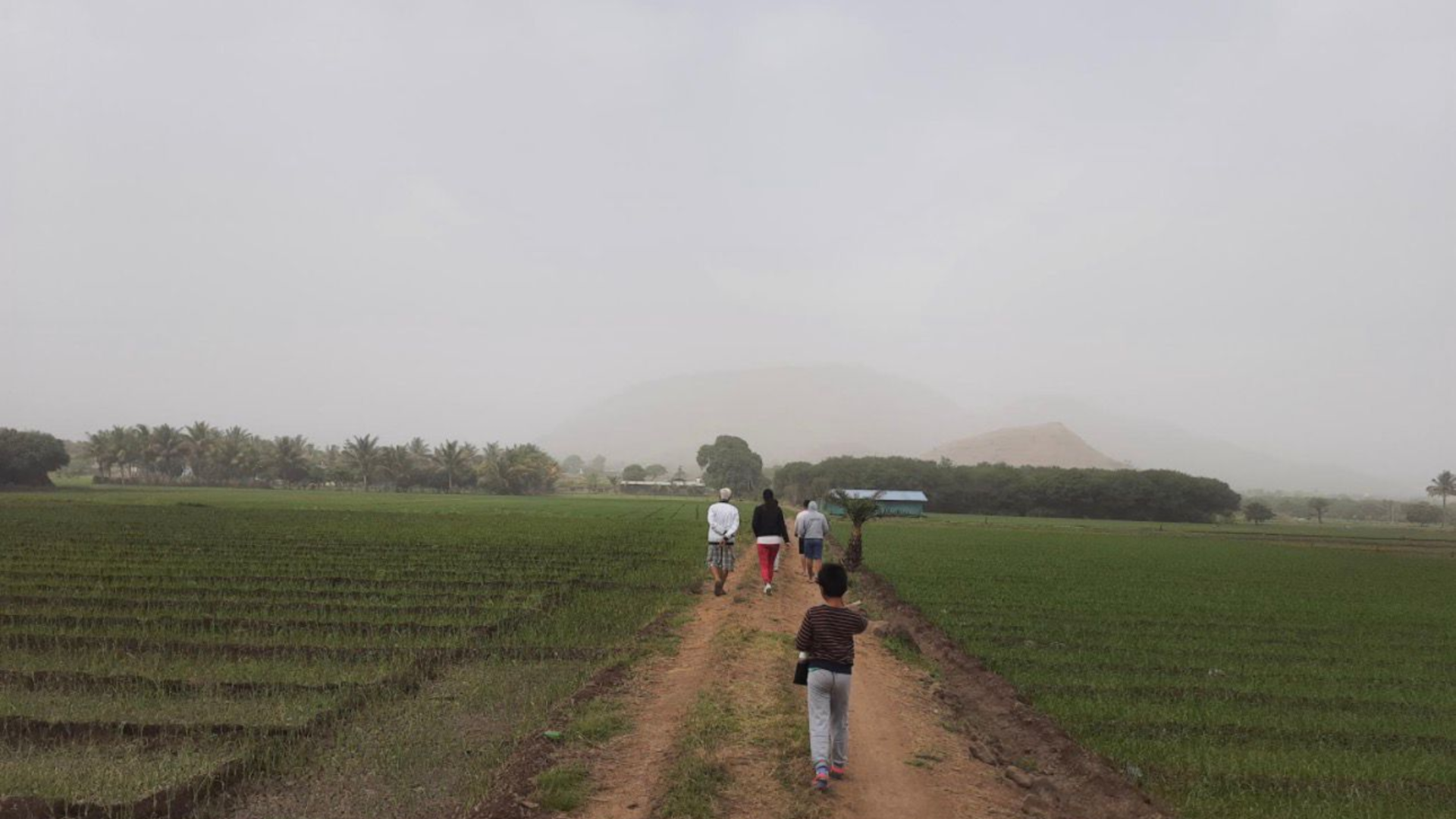 Dhruvtara-farm-junnar 10 (3)