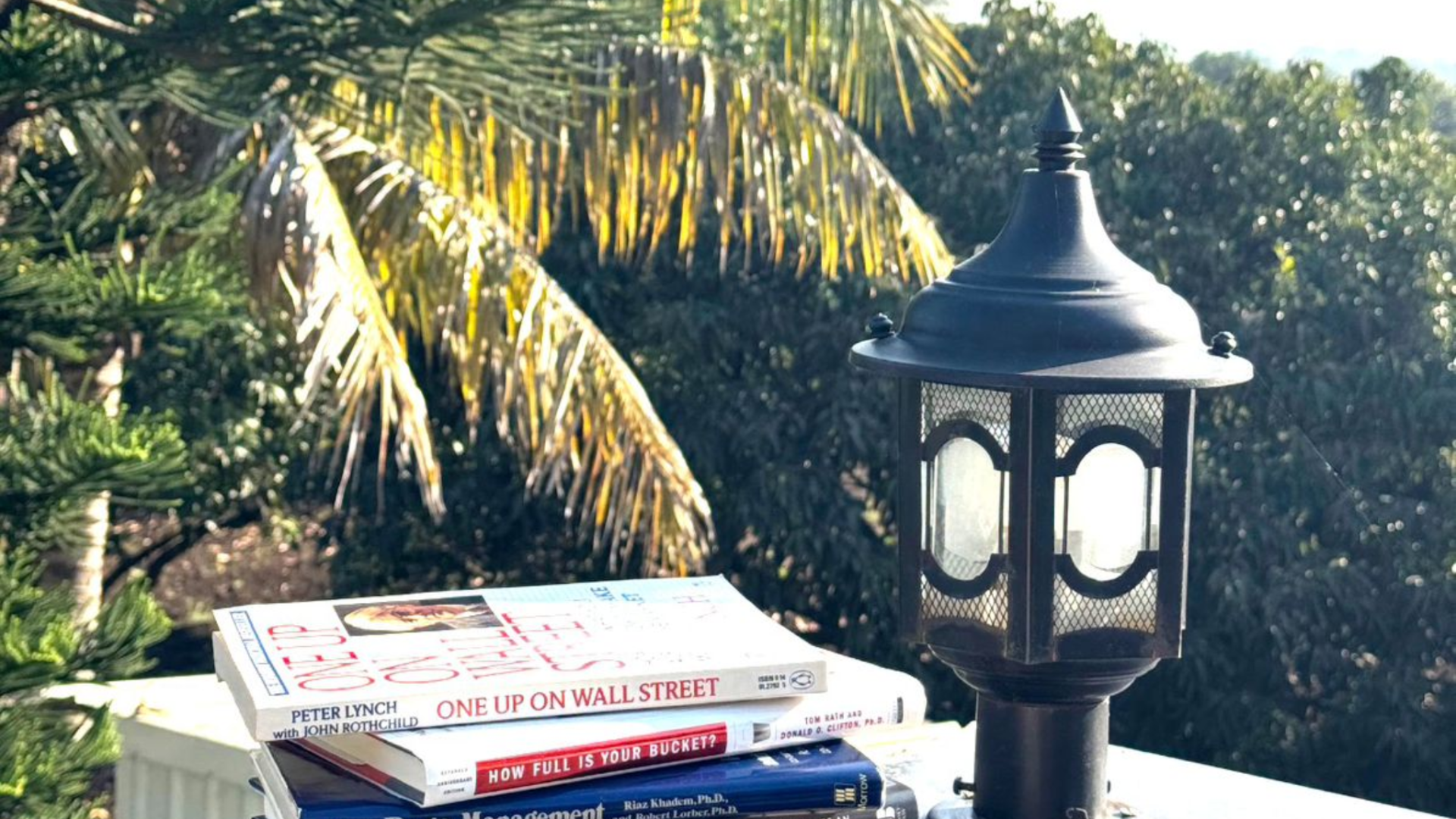 Dhruvtara-farm-junnar 10