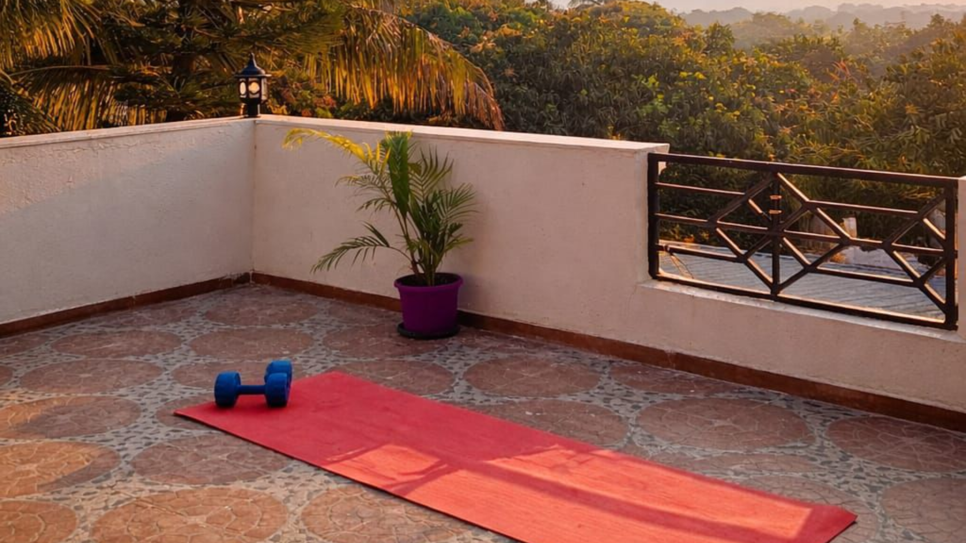 Dhruvtara-farm-junnar 9